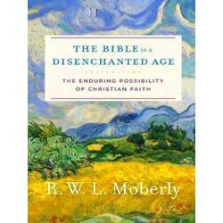 Bible In A Disenchanted Age The Enduring Possibility Of Christian Faith Theologi