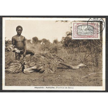 Ethiopia 1931 carte postale N° 125 Abyssinie autruche ( USED )