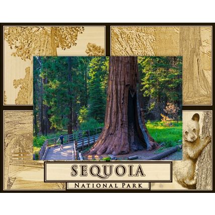 Sequoia National Park Laser Engraved Wood Picture Frame Landscape (4 x 6)