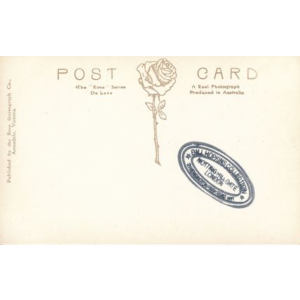 PC18633 St. Kilda Road. Melbourne. The Rose. RP. B. Hopkins