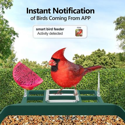 Bird Feeder with Camera,Fhd Live View,Wifi Smart Bird House with Cam Solar Power