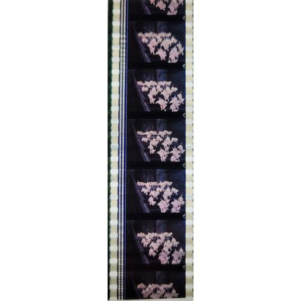 PK GEB - Y - f0137G . 1 STRIP OF 5 - 35MM - FILM CELLS