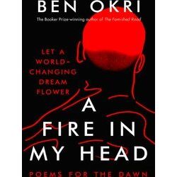 A Fire in My Head