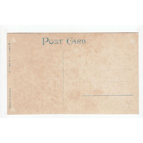 Young Girl Portrait Postcard 2515a
