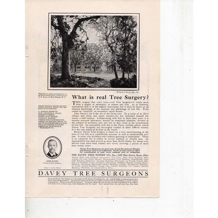 Davey Tree Surgeons vintage Print Ad September 1923