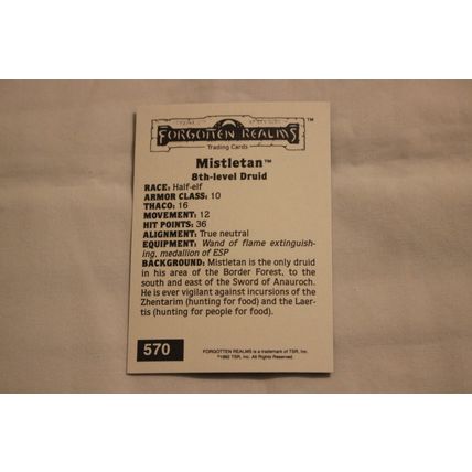 Mistletan 1992 TSR 2nd Edition Dungeons & Dragons NO.570