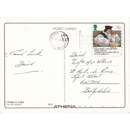 6x4 Continental size printed postcard Puma Cubs Athena Jan Huston