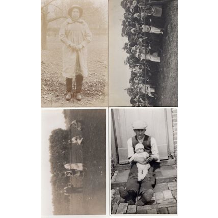 Fete Day Pensioner Poverty Walking Stick Fruit Picking 4x RPC Postcard s