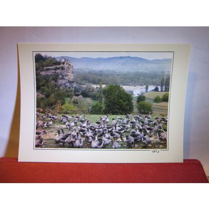 CHATEAU BELCASTEL, AVEYRON, FRANCE unused postcard #