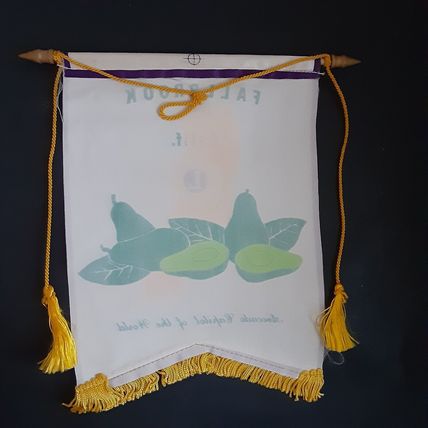 Lions Club International Banner Fallbrook CA California Avocado Capitol Vintage