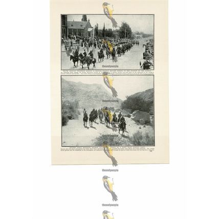 Action in South Africa & German SW Africa, WW1, Book Illustration (Print)