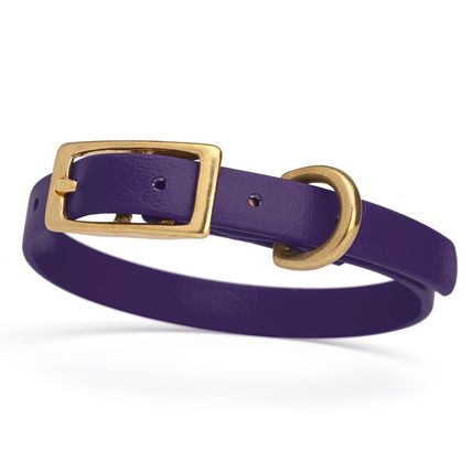 Dog Pet Collar with Brass Hardware Size XS W 1/2” L 9” - 12” Violet Purple