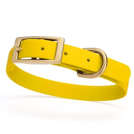 Dog Pet Collar with Brass Hardware Size S W 5/8” L 12” - 15” Lemon Yellow