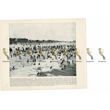Beach at Atlantic City, New Jersey, USA, Book Illustration (Print), 1899