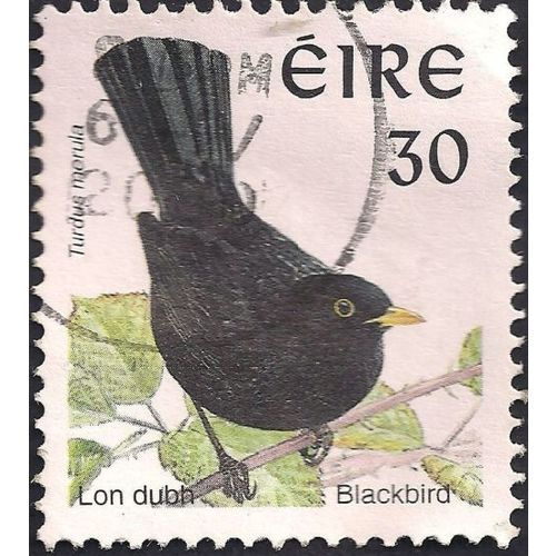 EIRE, BIRDS, Blackbird, white 1998, 30, #3