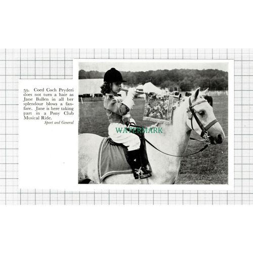 C5445) Jane Bullen Pony Club Coed Coch Pryderi Horse Riding - 1959 Cutting