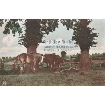 Horse Birthday Wishes Postcard 1918 used VGC