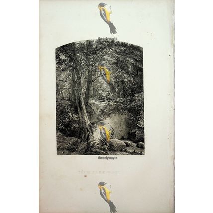 Hillside Brook, USA, Book Illustration (Print), 1864