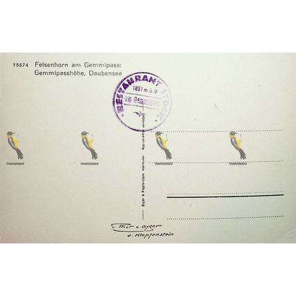 Felsenhorn Am Gemmipass, Switzerland, 15574 RP? Gyger & Klopfenstein, Postcard