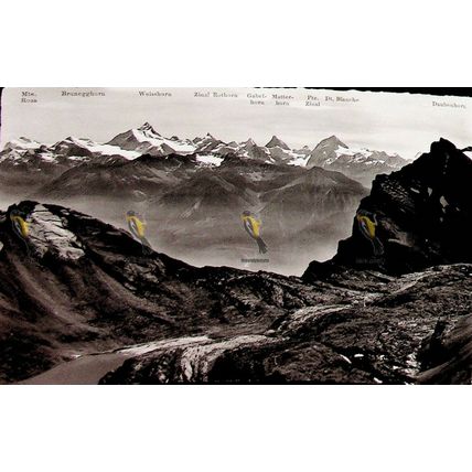Felsenhorn Am Gemmipass, Switzerland, 15574 RP? Gyger & Klopfenstein, Postcard
