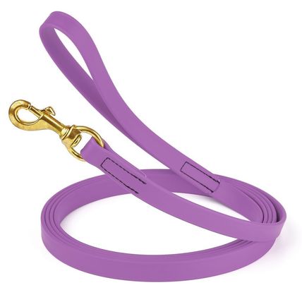 Dog Pet Leash Amethyst Purple w/ Brass Hardware W 3/4" - L10'