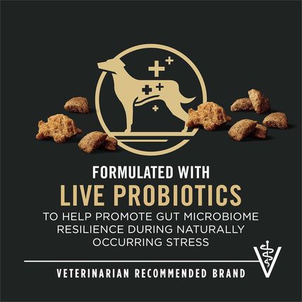Purina Pro Plan Complete Essentials Shredded Blend Beef and Rice Dog Food Dry Fo