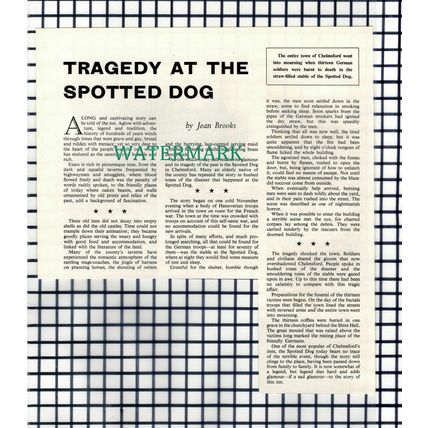 (6752) The Spotted Dog Inn Fire Tragedy Chelmsford Essex - 1967 Cutting