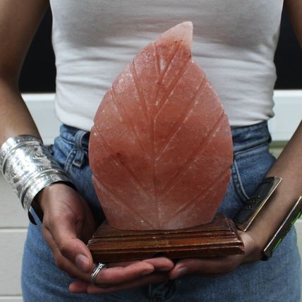 Salt Lamp Fern Shape