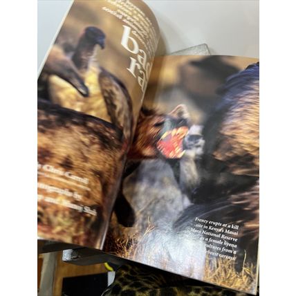 National Geographic Magazine June 2005 King Tut Collectible