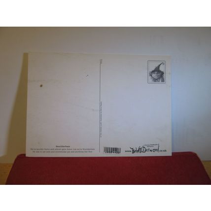 BATS, 'BEWILDERWOOD', CURIOUS TREEHOUSE ADVENTURE, NORFOLK unused postcard =
