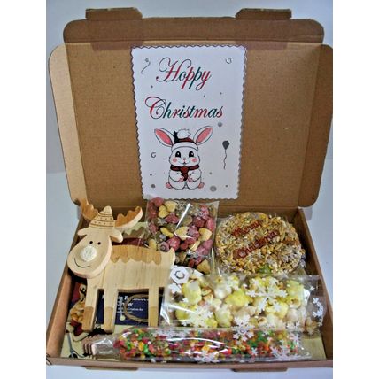 HOPPY CHRISTMAS RABBIT BUNNY GIFT BOX WITH REINDEER WOOD GNAW AND TASTY TREATS