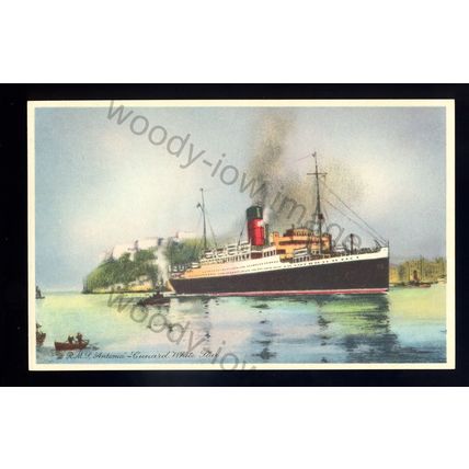 LS2477 - Cunard White Star Liner - Antonia - postcard