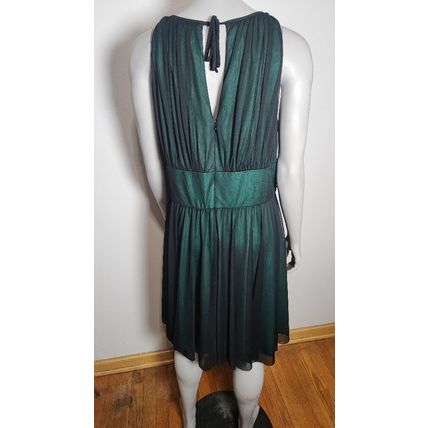 La Nouvelle NWT Women's size 1X Dress Green Renaissance