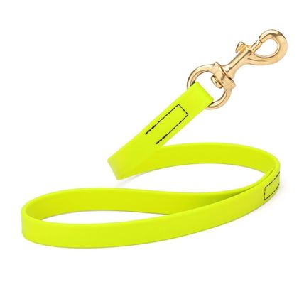 Dog Pet Leash with Brass Hardware W 3/4” L 20”, Safety Yellow