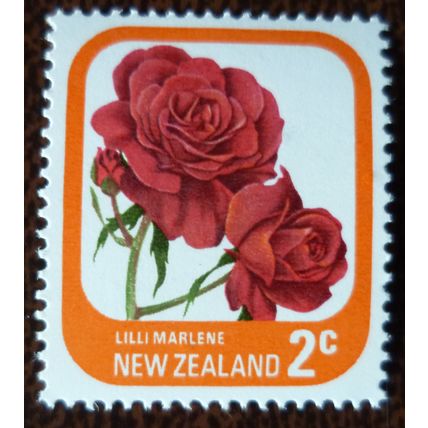 New Zealand 1975 Garden Roses 2c Lilli Marlene mint stamp SG1087 flowers plants
