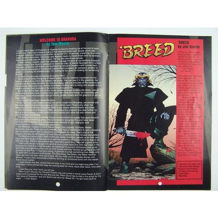 Comic Book - Bravura Hero Illustrated (1994) Preview 1/2 Malibu