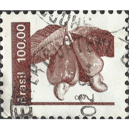 BRAZIL, FRUIT, Cashew nut, Anacardium occidentale, lilac-brown 1981, 100cruz, #3