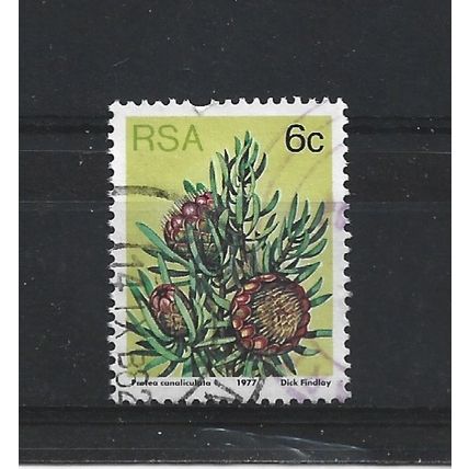 SouthAfrica.SG419 6c Protea Canaliculata.Fine Used.Sep25e
