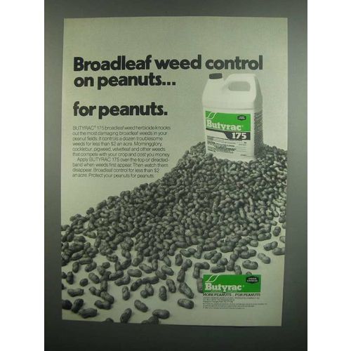 1984 Union Carbide Butyrac 175 Ad - For Peanuts