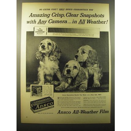 1950 Ansco Film Ad - Amazing crisp, clear snapshots with any camera