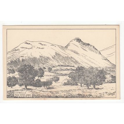 Catbells from Newlands C E Bartlett Sketch Art Postcard Cumbria