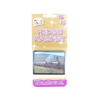 STEAM TRAIN fridge magnets 3D or Antique brass effect 8 choices
