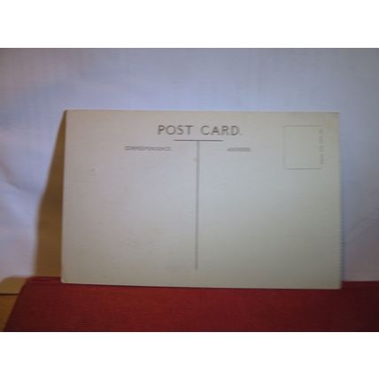 THE ZOO, JOHANNESBURG, SOUTH AFRICA unused antique postcard =