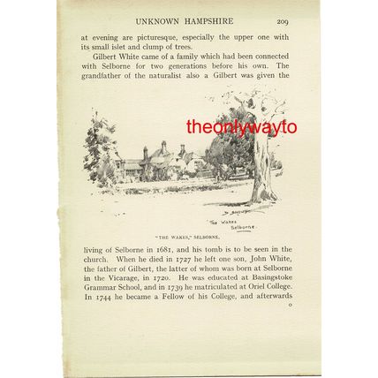 'The Wakes' Selborne, Hampshire, Book Illustration (Print), 1926