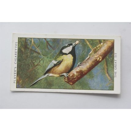 1932 John Player & Sons Wild Birds No. 40 The Great Tit & Young
