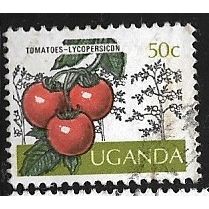 UGANDA 1975 SG 153 - fine used (o)