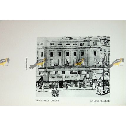 Piccadilly Circus, Walter Taylor & Sunflowers, Book Illustration, 1920
