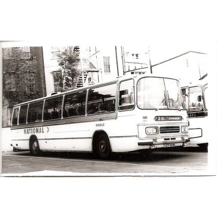 Black & White Photograph of Ribble Motor Services Ltd. - XTF 808L