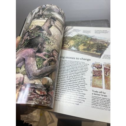 National Geographic Magazine February 1997- Siberian Tigers Collectable w