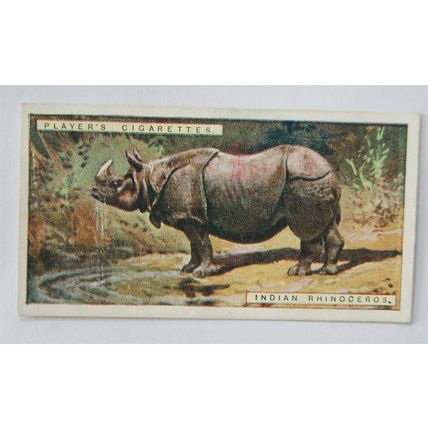 1924 Players Natural History card No. 41 Indian Rhinoceros